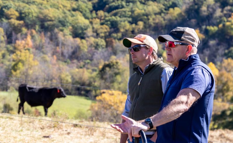 Two men stand by a wire fence with a black cow standing in the background.