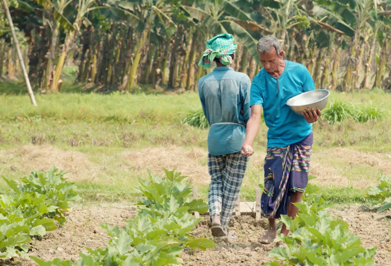 Two people working in a field in Bangladesh